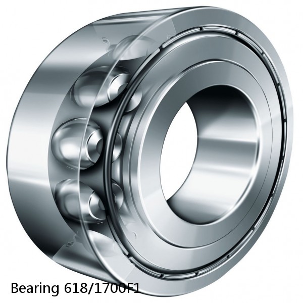 Bearing 618/1700F1