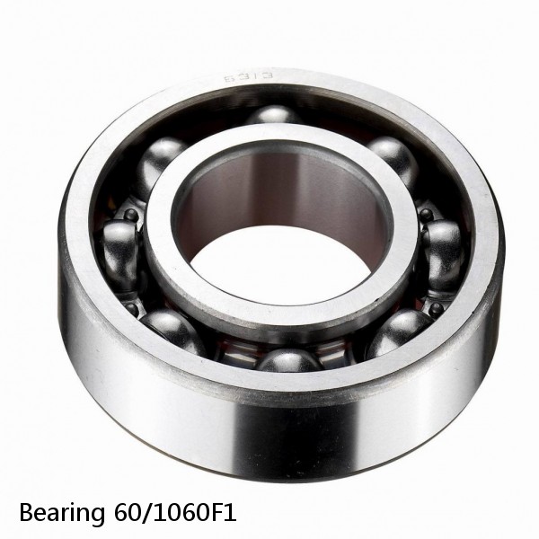 Bearing 60/1060F1