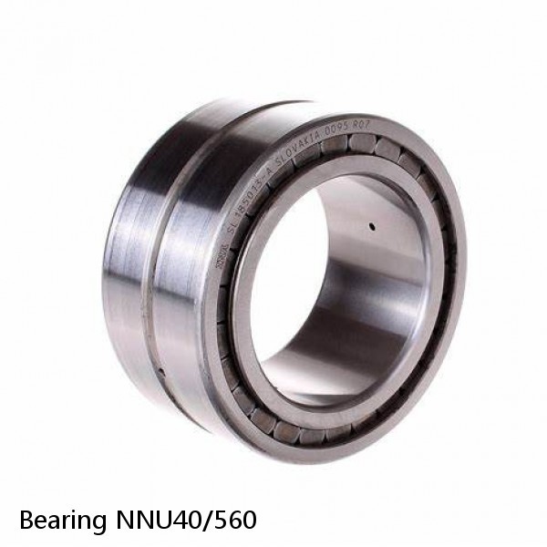 Bearing NNU40/560