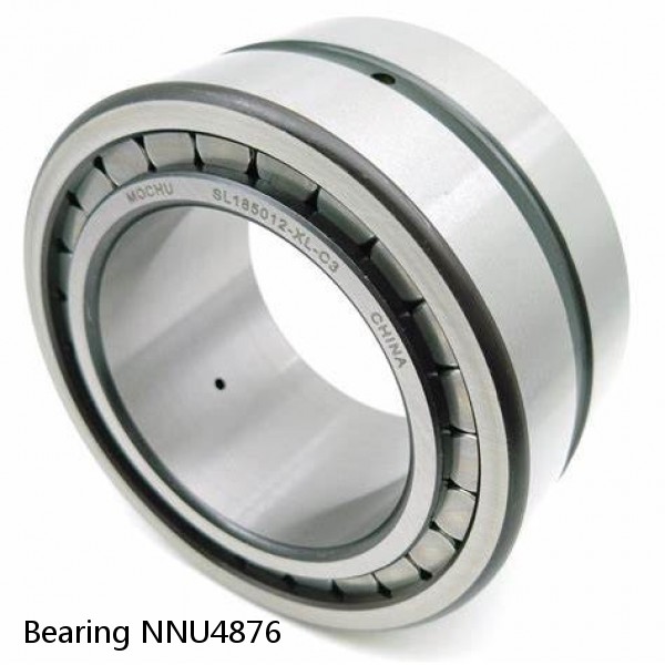 Bearing NNU4876