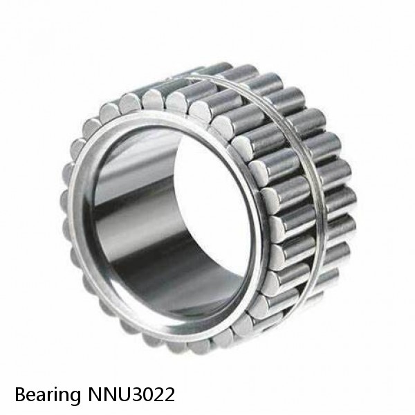 Bearing NNU3022