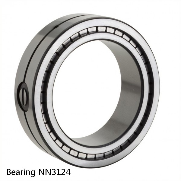 Bearing NN3124