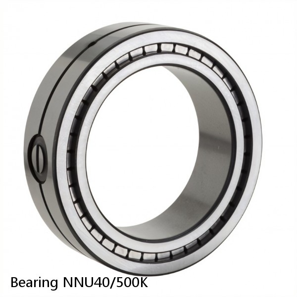 Bearing NNU40/500K