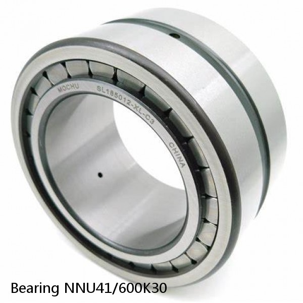 Bearing NNU41/600K30