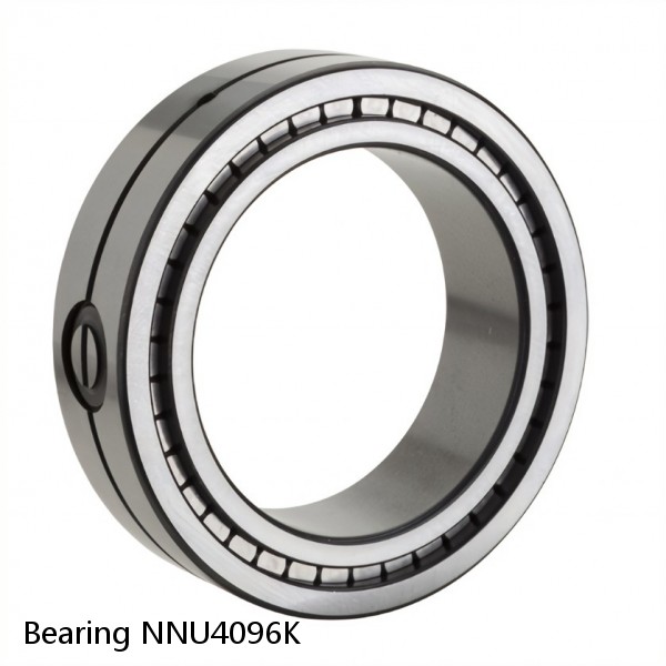 Bearing NNU4096K
