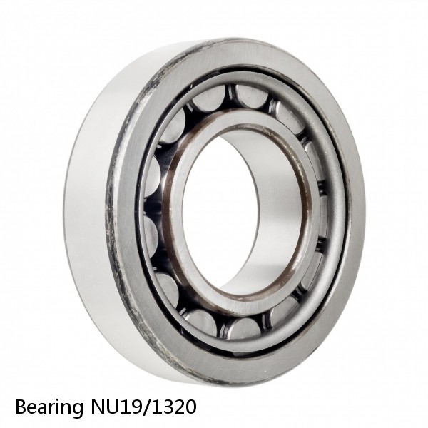 Bearing NU19/1320