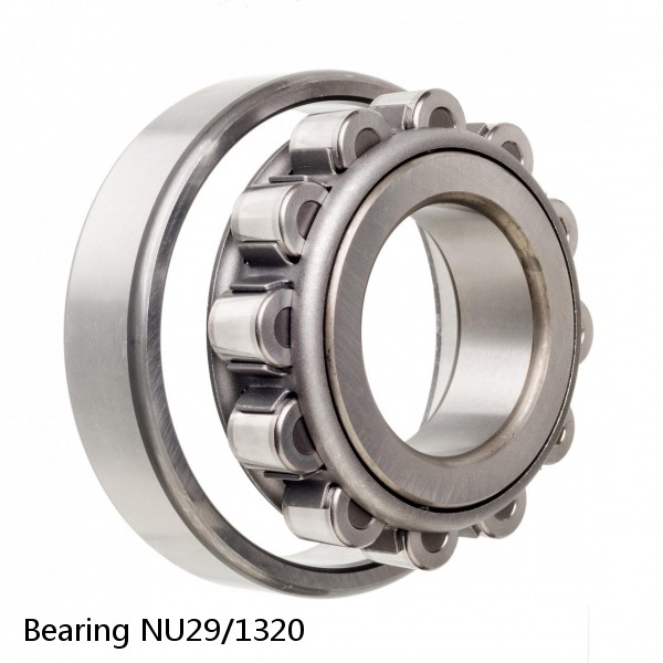 Bearing NU29/1320