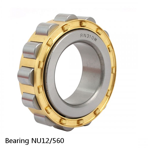 Bearing NU12/560