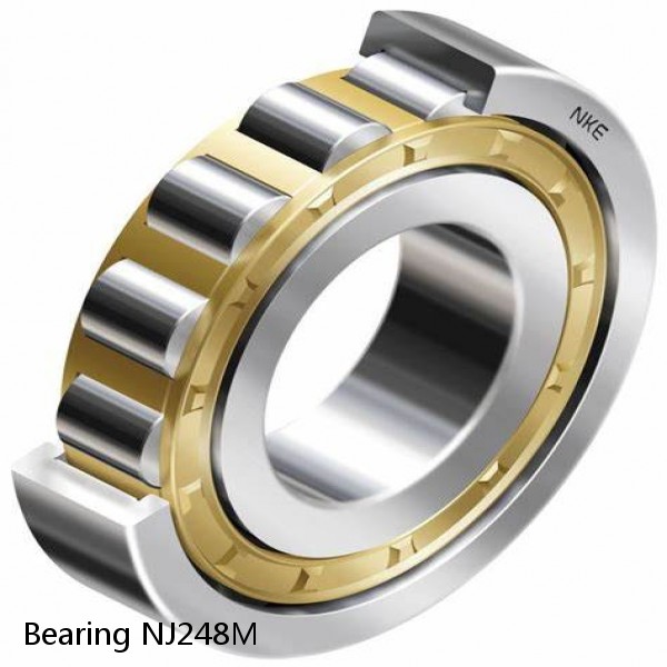 Bearing NJ248M