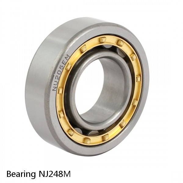 Bearing NJ248M