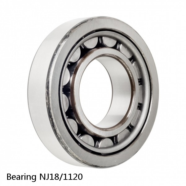 Bearing NJ18/1120