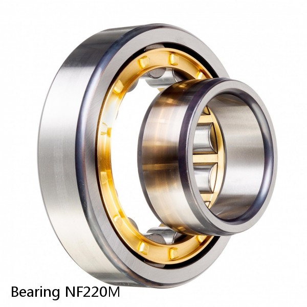 Bearing NF220M