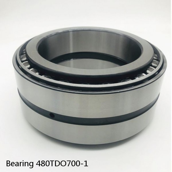 Bearing 480TDO700-1