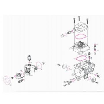 BOSCH Diesel Injection Fuel Pump Repair Kit - 2467010003 Gaskets &amp; Reseals