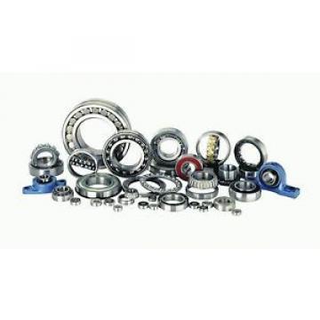 ZKL/KINEX Bearing 6007.RS